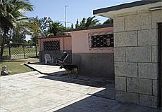 Casa Nancy Ruiz Аренда домов на Пляж Гуанабо, Кубе